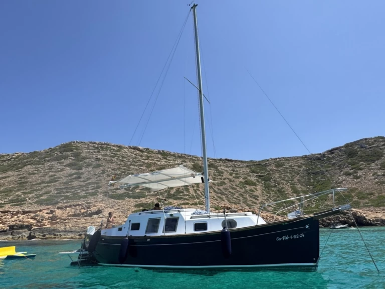 Yacht charter Palma de Mallorca cheap Delfin 28