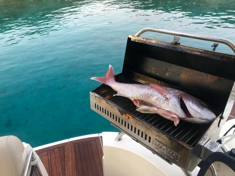 Motorboat rental in Alimos - Sealine Sealine S38
