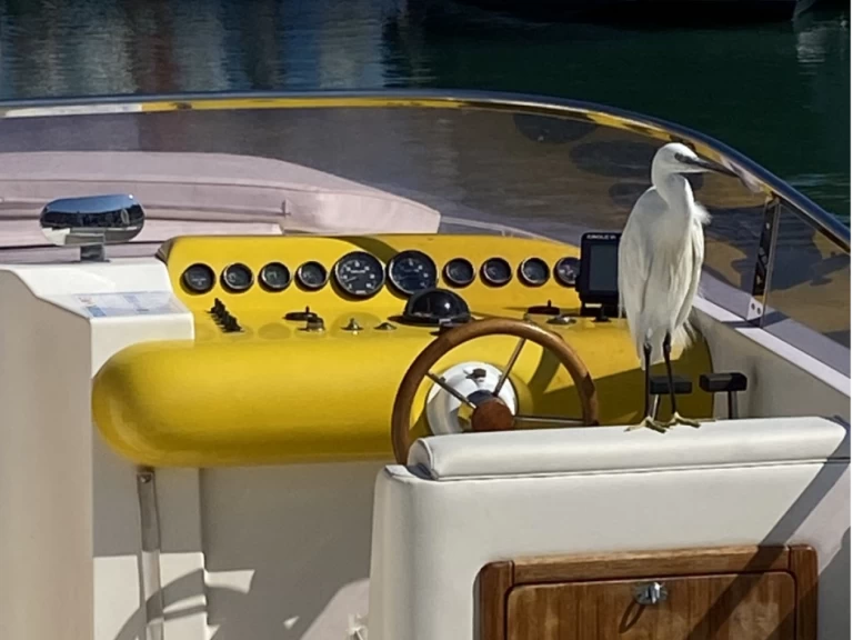 Rent a Molinari AIRON MARINE  Talamone