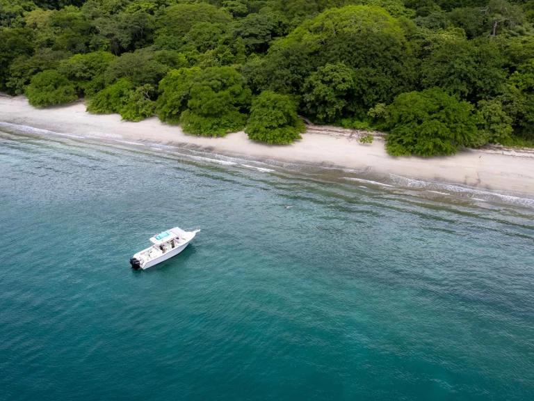 Bareboat Rental Motorboat grady-white with a boat licence