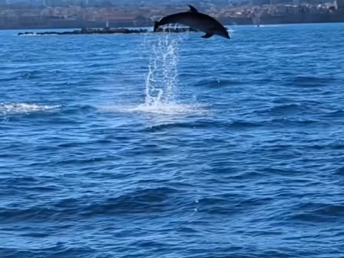 Bareboat Rental Motorboat Navan with a boat licence