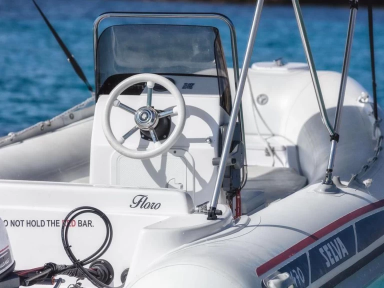 Motorboat rental in Sant Antoni de Portmany - Selva 15 HP