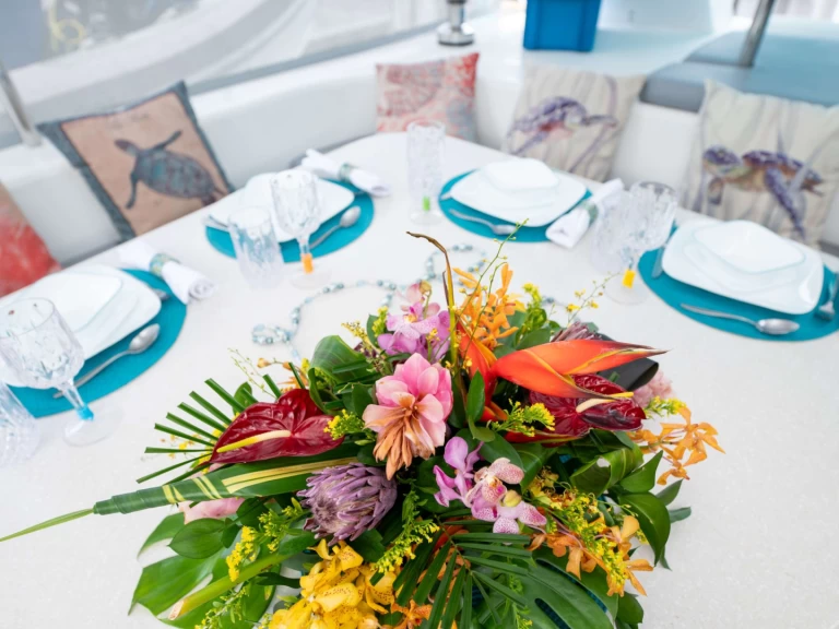 Voyage TURQUOISE TURTLE charter bareboat or captained in  British Virgin Islands (BVI)