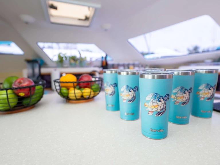 Voyage TURQUOISE TURTLE in British Virgin Islands (BVI) on SamBoat