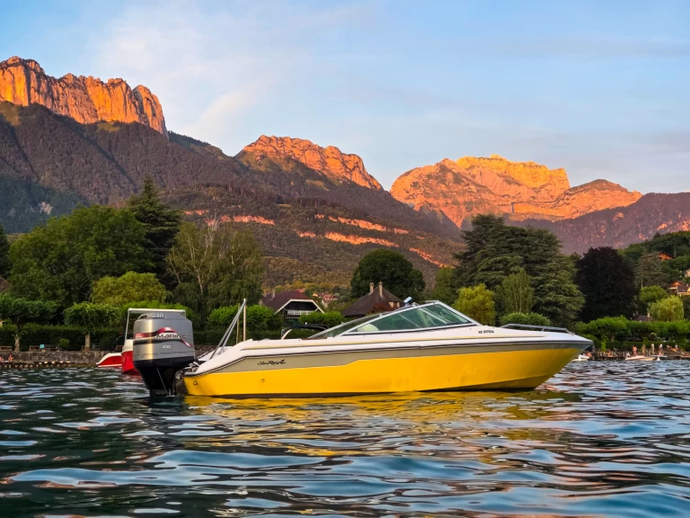 Motorboat rental with or without captain Sea Ray Annecy