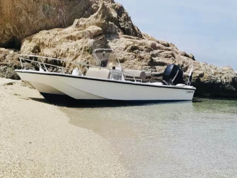 Boston Whaler Boston Whaler 17 in Larmor-Plage on SamBoat