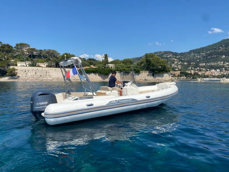 Capelli Tempest 775 charter bareboat or captained in  Antibes
