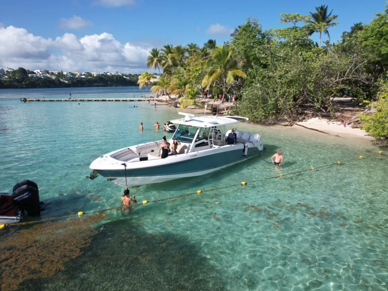 Motorboat rental with or without captain Boston Whaler Pointe-à-Pitre