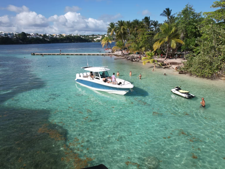 Boston Whaler Boston Whaler 380 Outrage in Pointe-à-Pitre on SamBoat