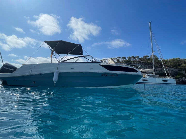 Bareboat Rental Motorboat Bayliner with a boat licence