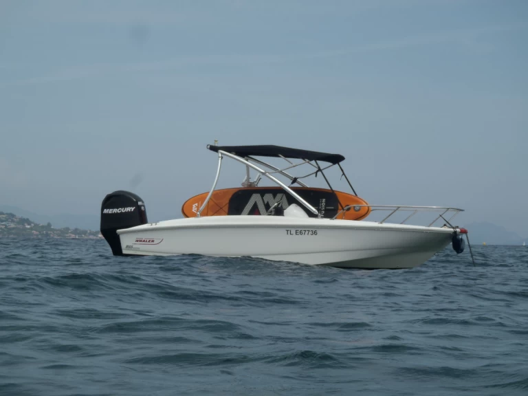 Boston Whaler Boston Whaler 170 super sport in Sainte-Maxime on SamBoat