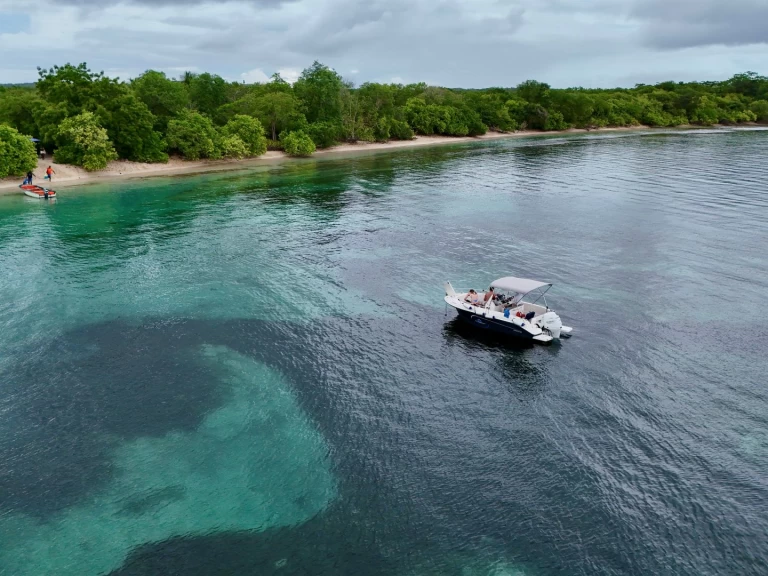 Rent a Pacific Craft Pacific Craft 545 Open Port-Louis