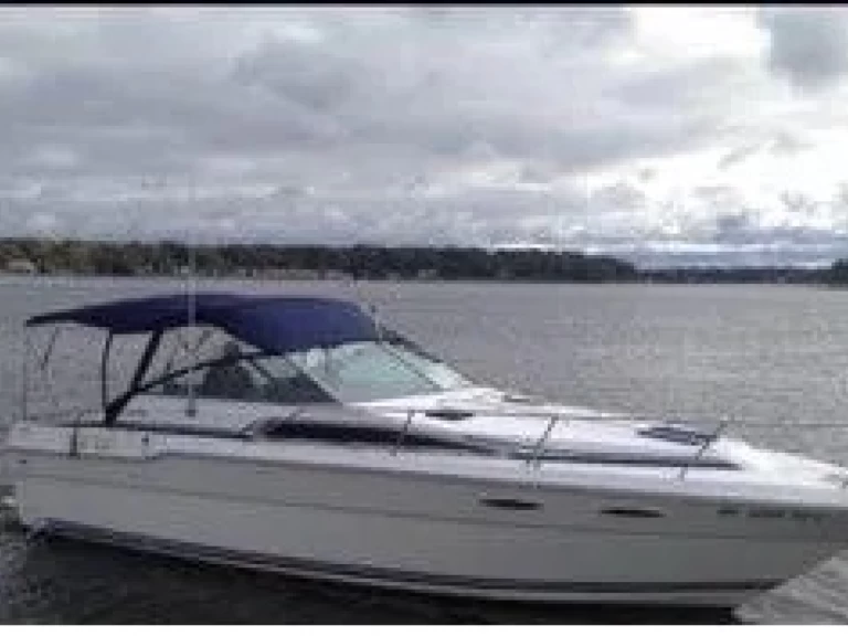 Motorboat rental in Sorrento - Sea Ray Sea Ray 300 Sundancer