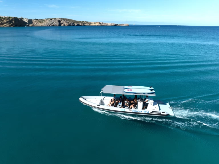 Rent a Hydrosport Rib 909 vfi Port d'Addaia (City)
