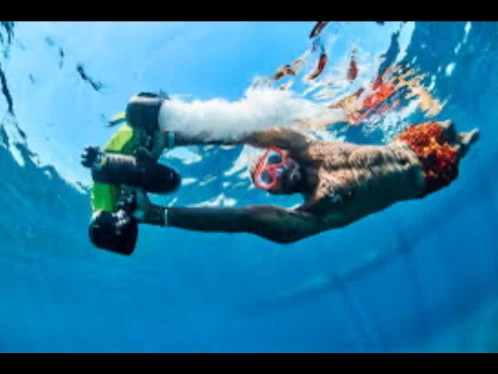 Yacht charter Sanary-sur-Mer cheap 3D Tender 535