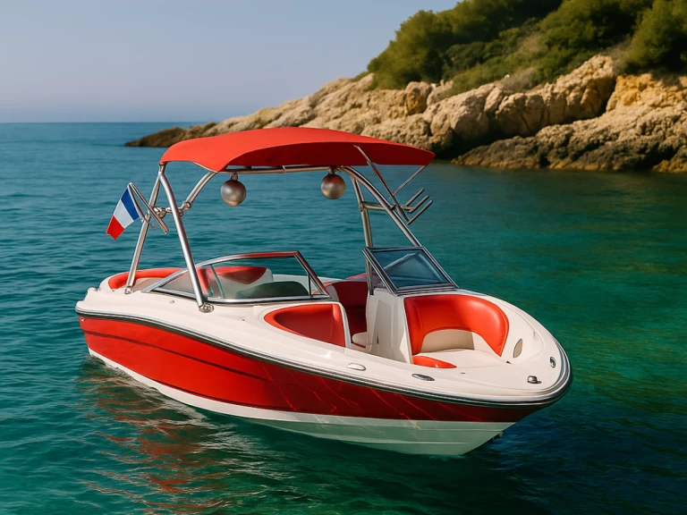 Motorboat rental with or without captain Sea Ray Mandelieu-la-Napoule