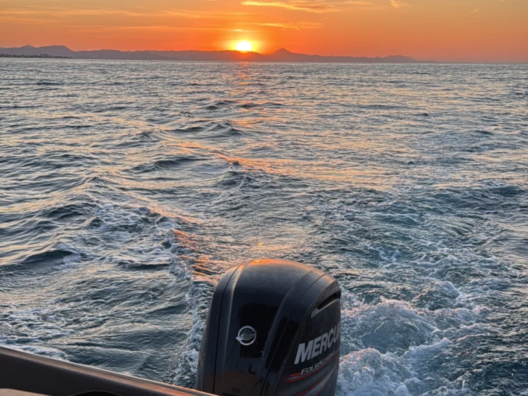 Boat rental Quicksilver Activ 605 Sundeck in Dénia on Samboat