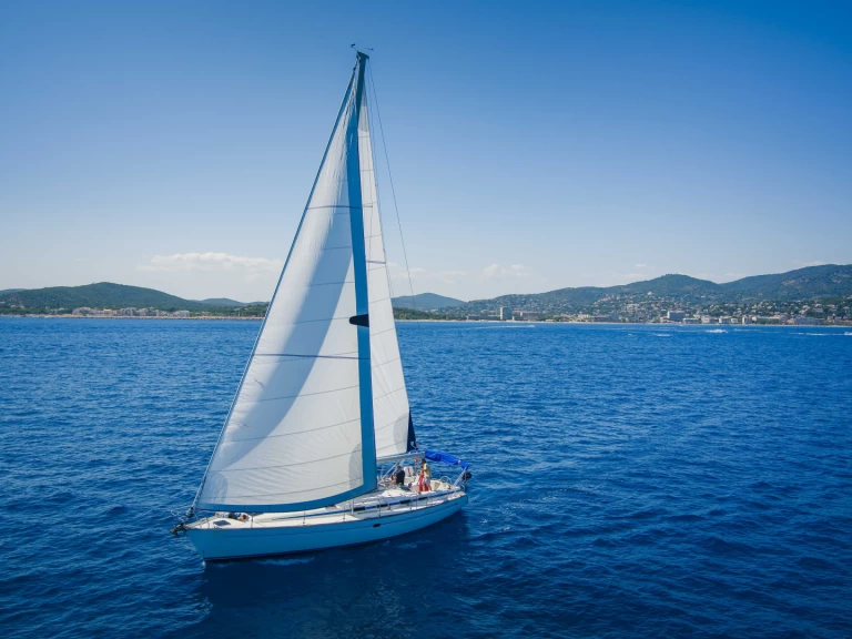 Bavaria Bavaria 50 charter bareboat or captained in  Cavalaire-sur-Mer