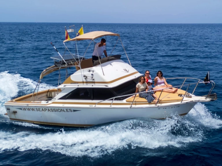 Motorboat rental in Guía de Isora - Bertram Bertram 28 flybrigde