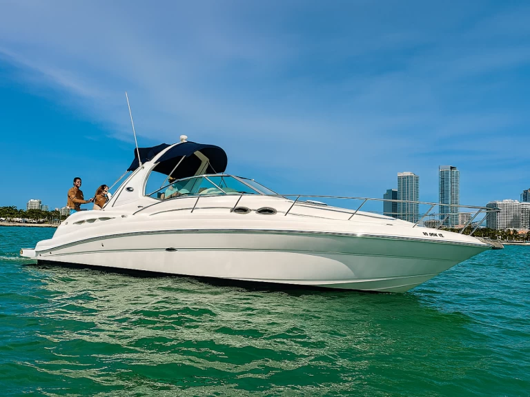 Bareboat Rental Motorboat Sea Ray with a boat licence