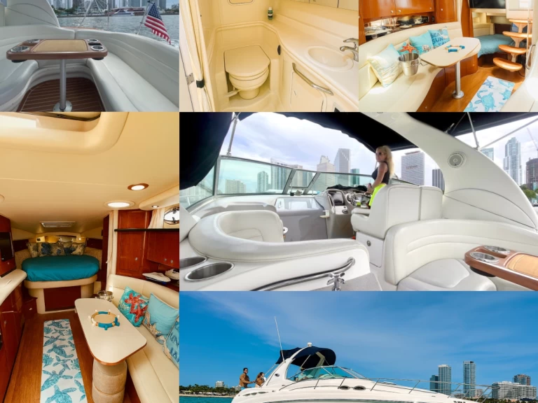Sea Ray Sundancer 37 charter bareboat or captained in  Miami