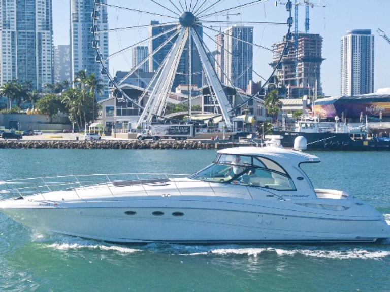 Sea Ray Sea Ray 54 charter bareboat or captained in  Miami Beach