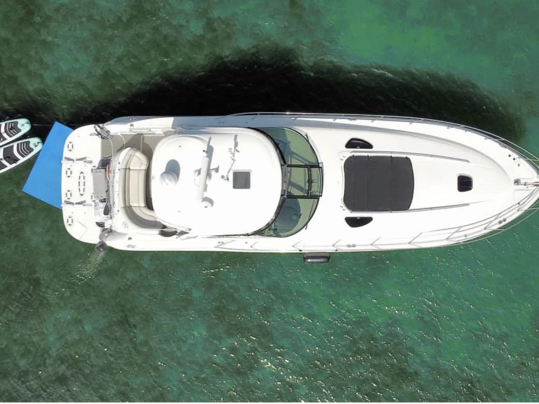 Yacht charter Miami Beach cheap Sea Ray 54
