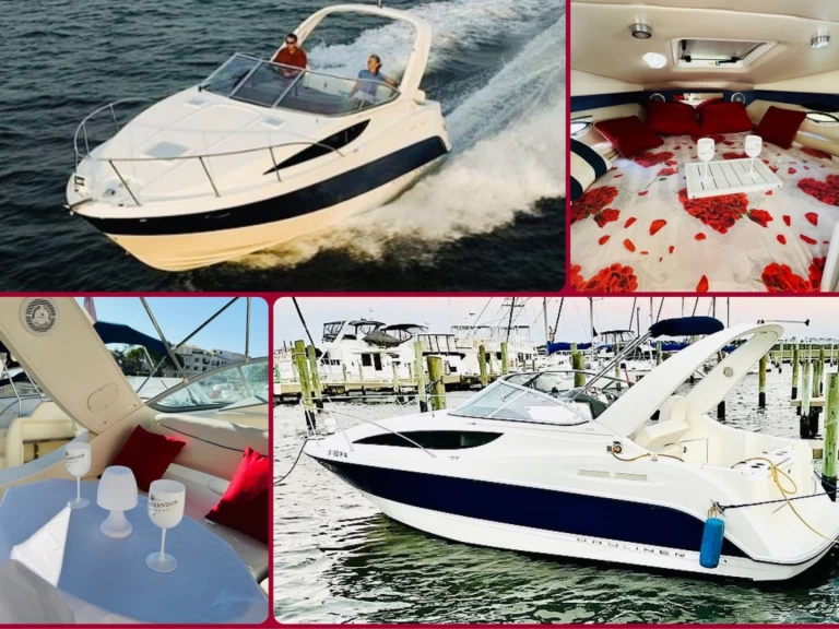 Bayliner Bayliner 285 Cruiser in Vieux Port de Cannes on SamBoat