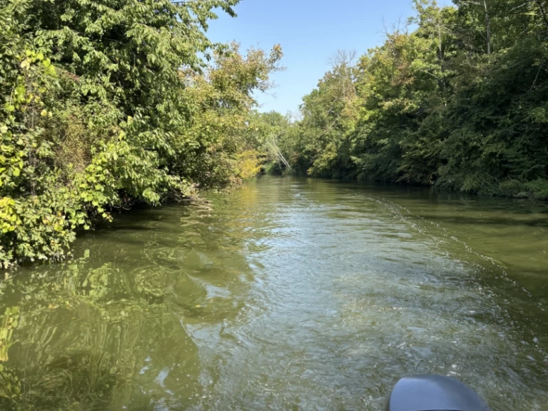 Bareboat Rental Motorboat Jeanneau with a boat licence