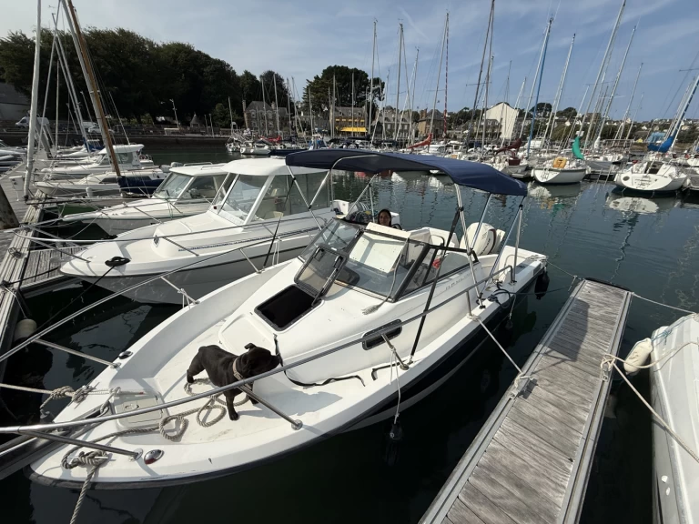 Rent a Bayliner Trophy 2002 Perros-Guirec