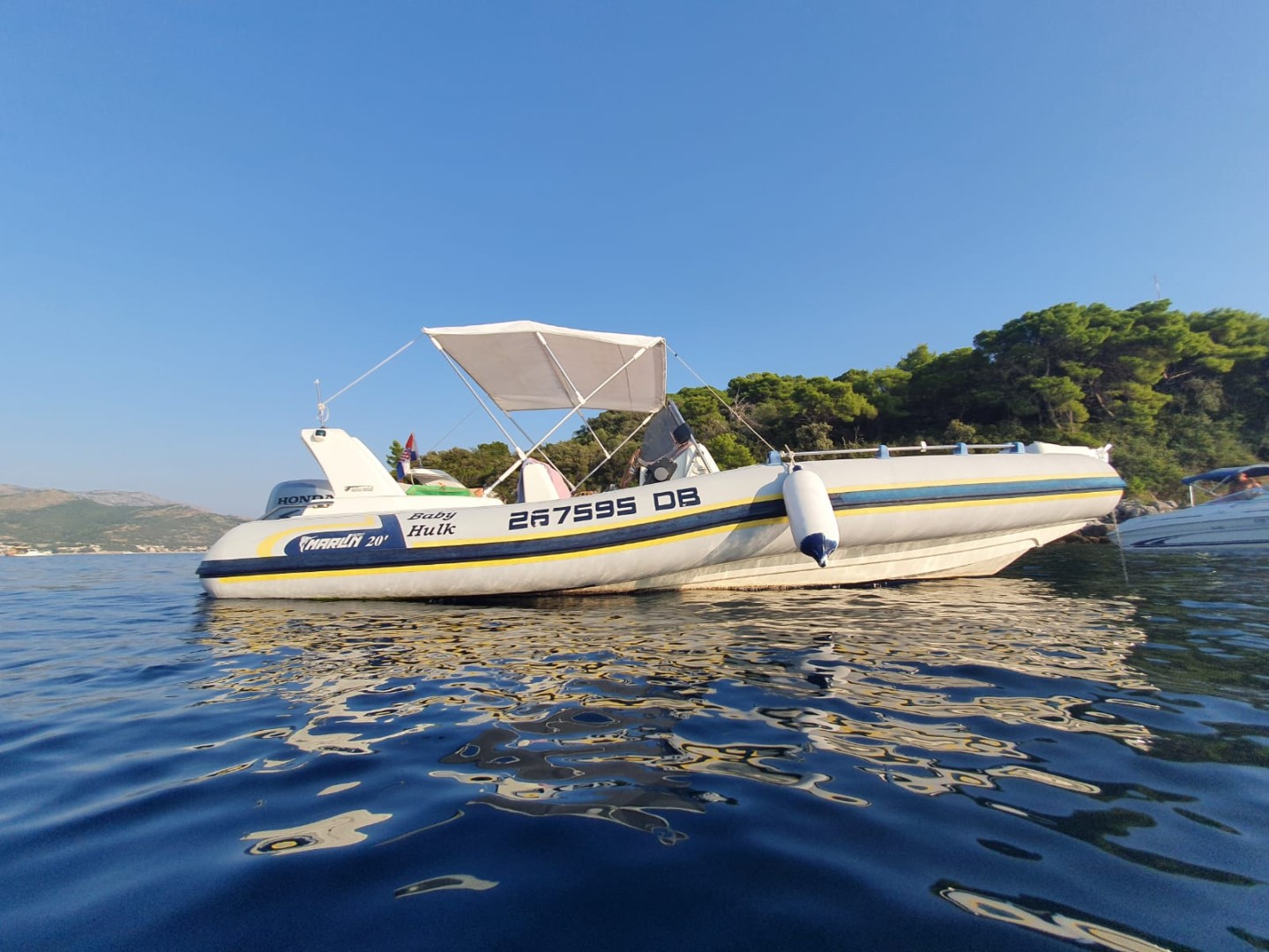 Rent A RIB Marlin Boat 21 In Marina Frapa Dubrovnik Baby Hulk 1 SamBoat rent-a-rib-marlin-boat-21-in-marina-frapa-dubrovnik-baby-hulk-1-samboat