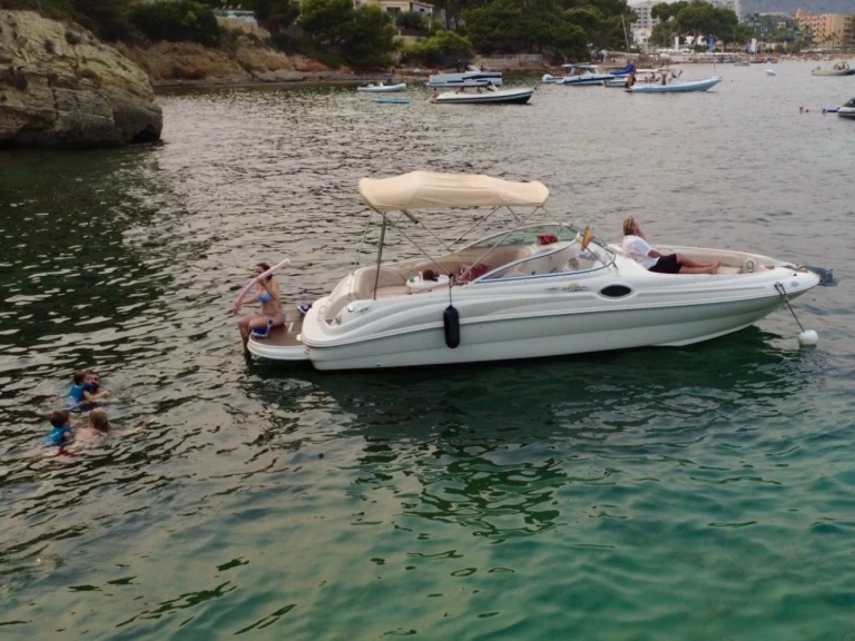Motorboat rental with or without captain Sea Ray Palma de Mallorca