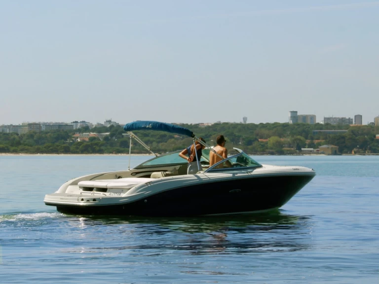 Motorboat rental with or without captain Sea Ray Lisbon