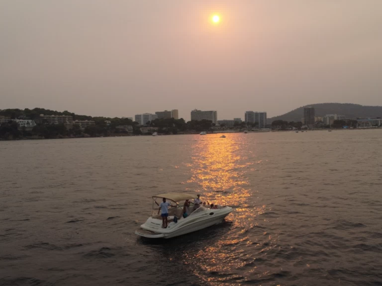 Rent a Sea Ray Sea Ray 240 Sundeck Palma de Mallorca