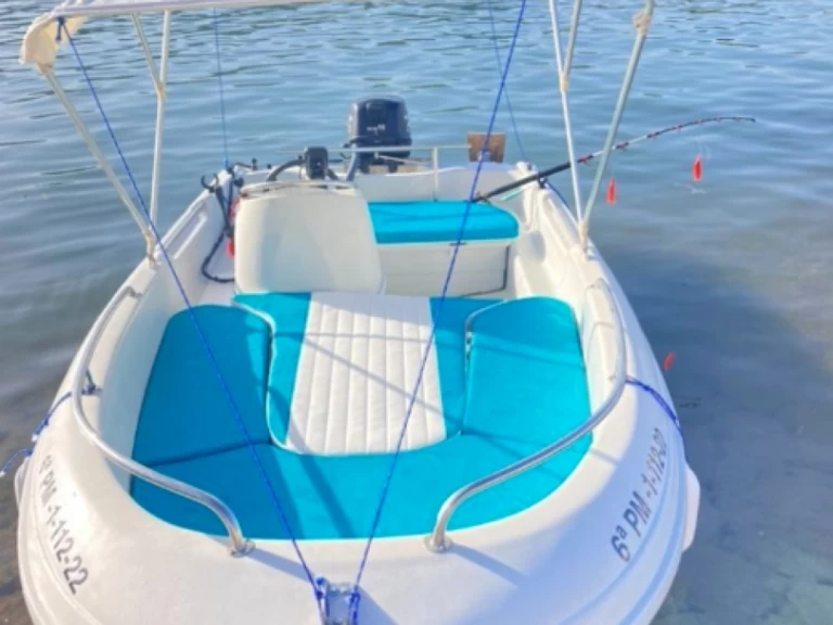 Motorboat for rent Port d'Andratx at the best price