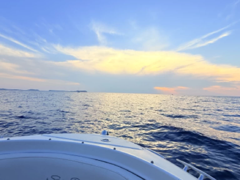 Motorboat rental with or without captain Sea Ray Sant Antoni de Portmany