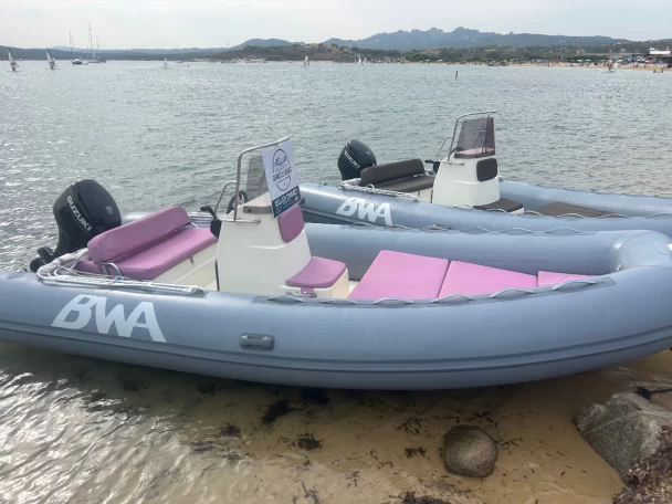 RIB rental with or without captain Bwa Palau