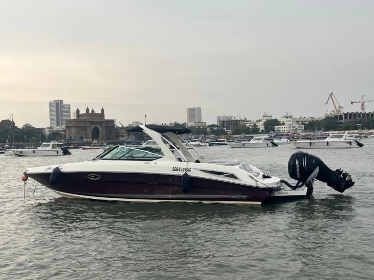 Yacht charter Mumbai cheap Sea Ray SLX 300