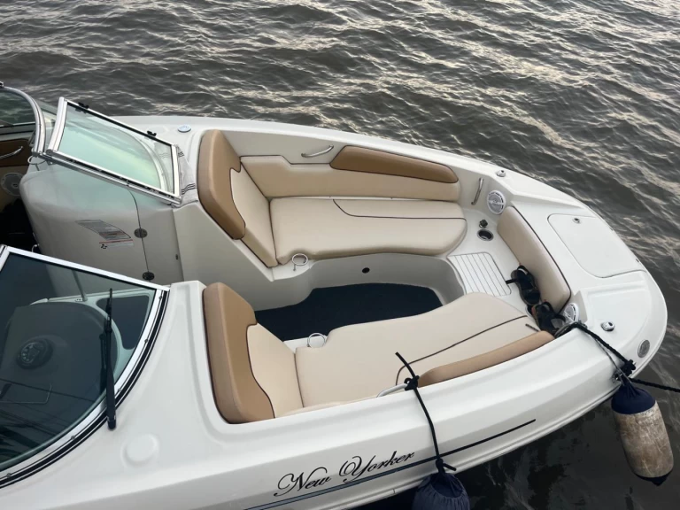 Motorboat rental in Mumbai - Sea Ray Sea Ray SDX 290