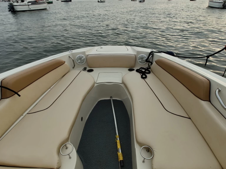 Motorboat rental with or without captain Sea Ray Mumbai