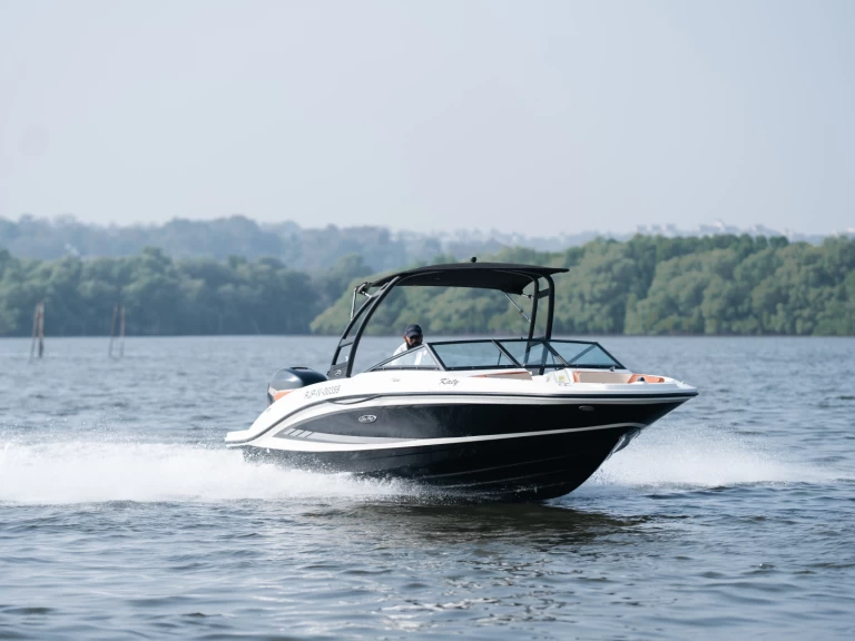 Sea Ray Sea Ray SPX 210 charter bareboat or captained in  Panjim