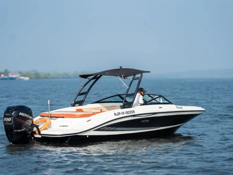 Sea Ray Sea Ray SPX 210 in Panjim on SamBoat