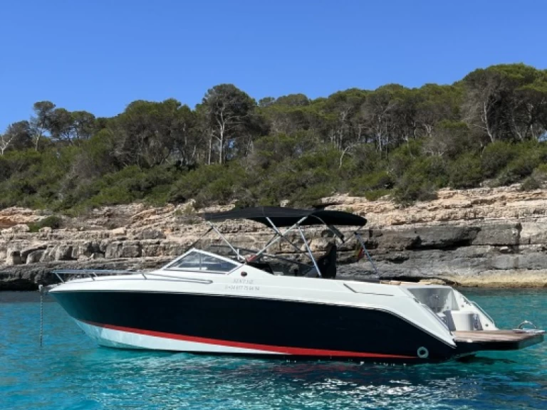 Motorboat rental in Cala d'Or - Wellcraft OPEN