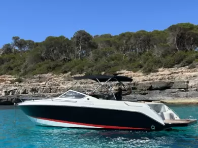 Motorboat rental in Cala d'Or - Wellcraft OPEN