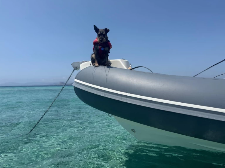 Bwa 24 Sporty RIB charter bareboat or captained in  Ibiza Town