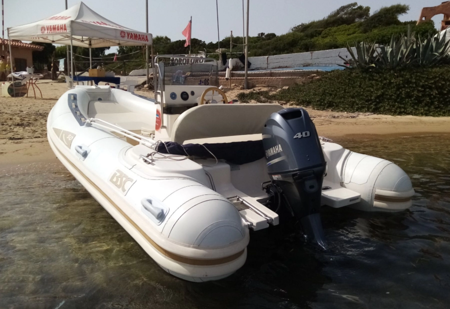 RIB rental with or without captain Bsc Palau