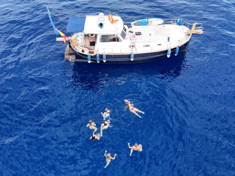 Boat rental Menorquin menorquin 120 in Valencia on Samboat