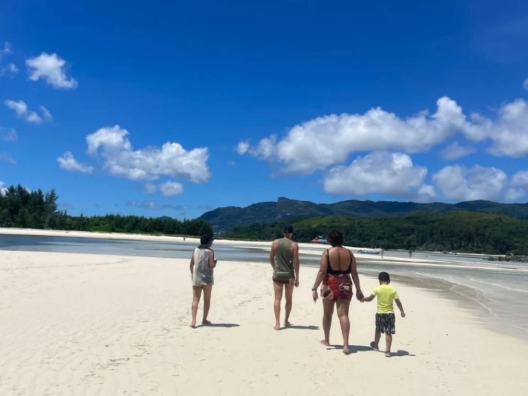 Motorboat rental in Mahé - Wellcraft Scarab 302 Sport