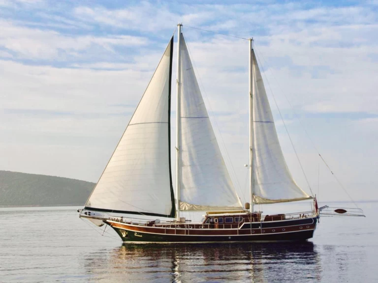 Rent a Custom Made Serenad Bodrum