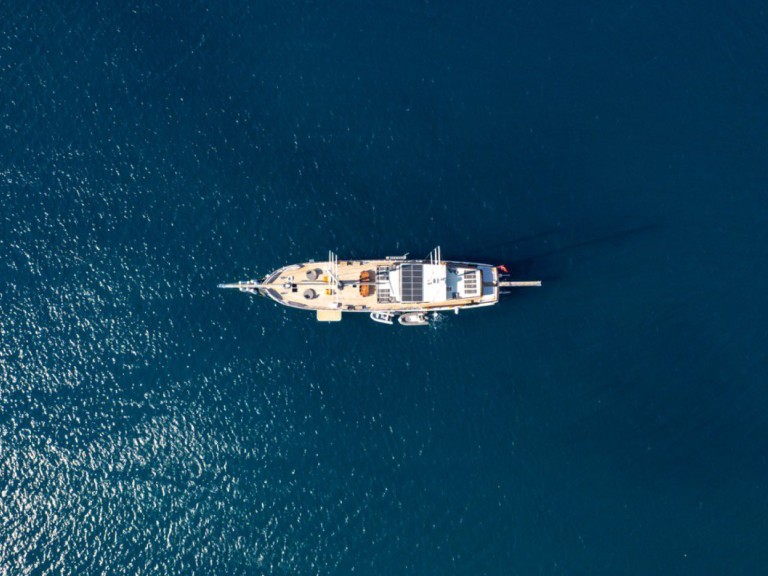 Bareboat Rental Sailboat Custom Made with a boat licence